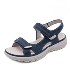 Blauw / 36