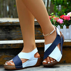 Blauw/Wit / 36