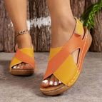 Oranje / 36