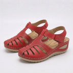 Rood / 36